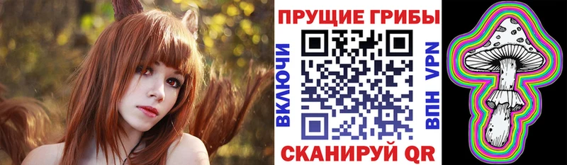 Галлюциногенные грибы Psilocybe  Купить  Оленегорск 
